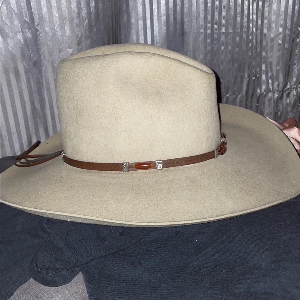Cisco Brown and White Hat Interior
